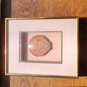 FIGI Pink Seashell in Shadow Box Edged in 24k gold